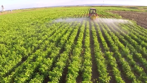 The tractor pulls machine for a spraying in a field of peppers. Aerial footage. Stock Footage 83620656