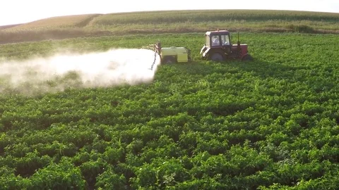 The tractor pulls machine for a spraying in a field of peppers. Aerial footage. Stock Footage 83621083