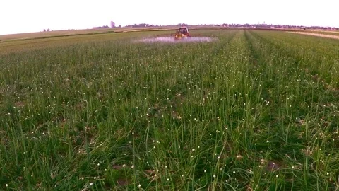 The tractor pulls a machine for spraying onion. Aerial footage. Stock Footage 83553275