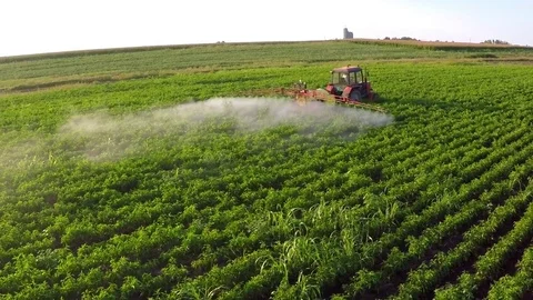 The tractor pulls machine for a sprinkling in a field of peppers. Stock Footage 72219506