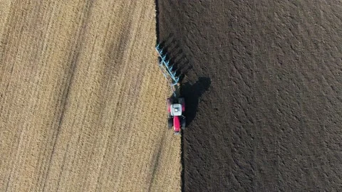 Tractor pulls a plow across a farm field. preparation of the field before sowing Video stock 160437293