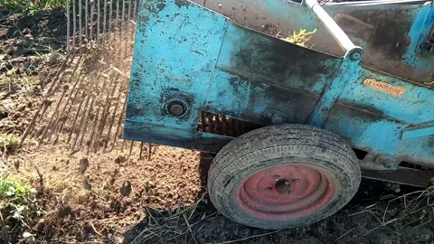 A tractor pulls the potatoes out of the ground with a machine Stock Footage 162165879