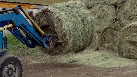 The tractor puts hay in a big stack Stock Footage 69867160
