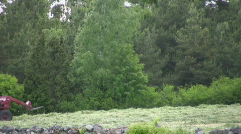 Tractor racking hay Stock Footage 477033