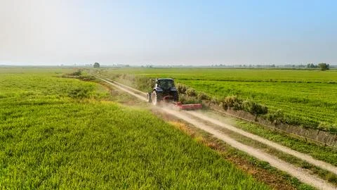 Tractor raising dust while driving through rice fields Stock Photos