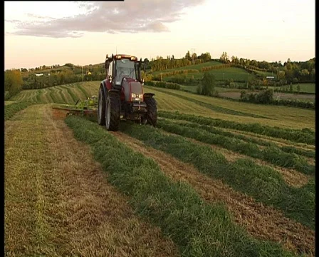 Tractor raking grass Video stock 728026