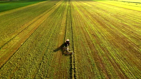 Tractor Raking grass for silage harvesting. Agriculture farm machinery at field. 動画素材 219828161