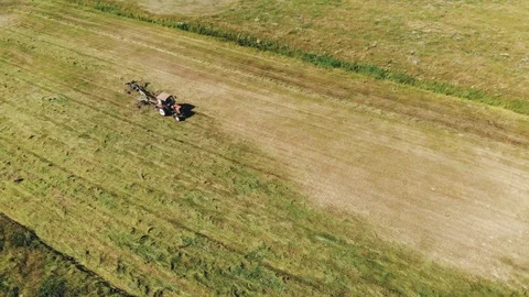 Tractor raking green grass using a rake-tedder 库存影片 116421117