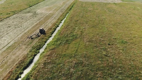 Tractor raking green grass using a rake-tedder Stock Footage 116501546