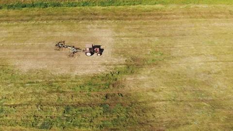 Tractor raking green grass using a rake-tedder Vídeo Stock 117597638
