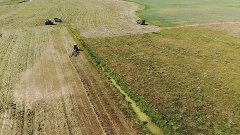 Tractor raking green grass using a rake-tedder Stock Footage 117835976