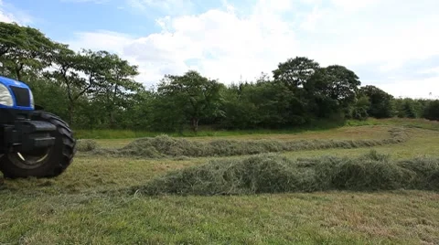 Tractor raking hay for feed. Video stock 7903644