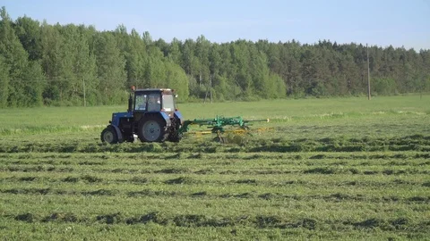 Tractor raking hay in a field Stock Footage 116824544