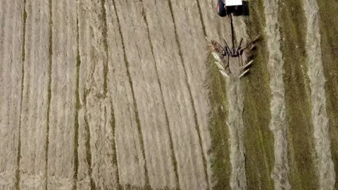 Tractor raking hay Stock Footage 248645442