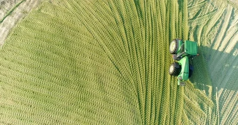 Tractor Ramming Silage In The Pit, Aerial Top View Stock Footage 158322165