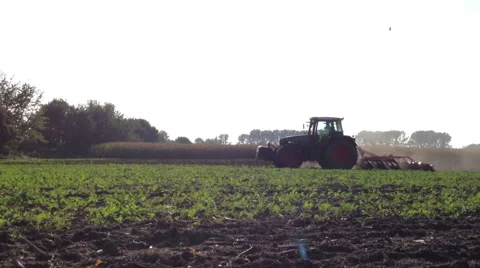 Tractor reaping in 1080p Stock-Footage 42448215
