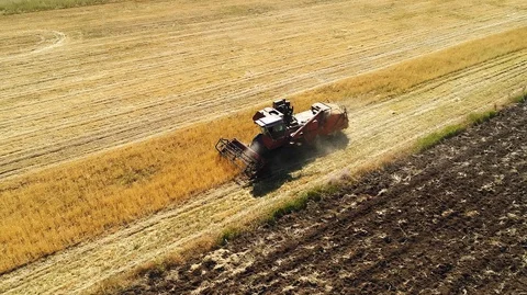 Tractor reaping, collecting and compressing wheat from a fertile field Stock Footage 129711275