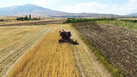 Tractor reaping, collecting and compressing wheat Stock Footage 129711883