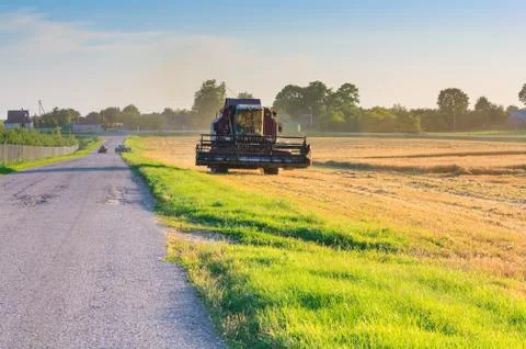 Tractor reaping wheat Stock Photos