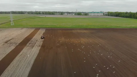 The tractor is red, with additional wheels makes the cultivation of the soil of Vídeos de archivo 113668397