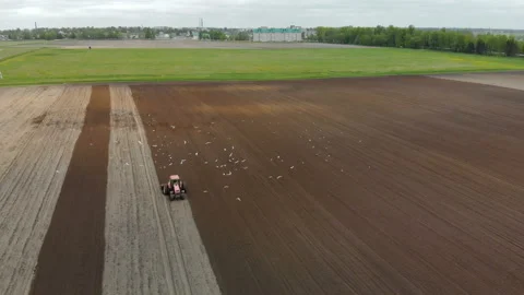 The tractor is red, with additional wheels makes the cultivation of the soil of Video stock 113669542