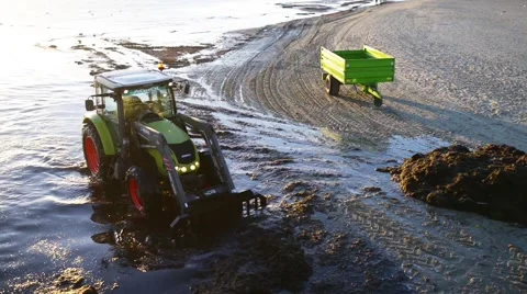 Tractor removes algae on coast of Baltic Sea Stock Footage 65683791