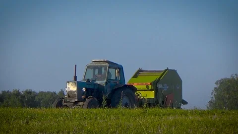 Tractor removes grass in the field Video stock 96051122