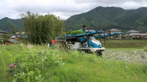 Tractor in a rice field. Stock Footage 10719276