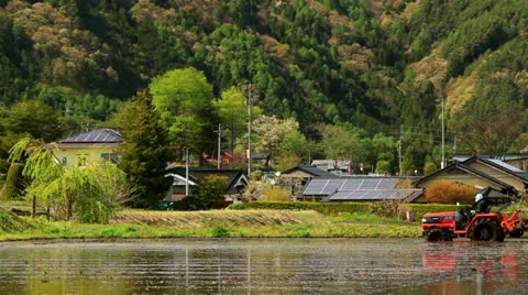 Tractor in a rice field. Stock Footage 23679867