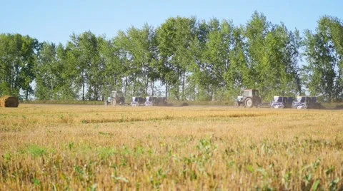 Tractor ride on the harvest Vidéo 67283515