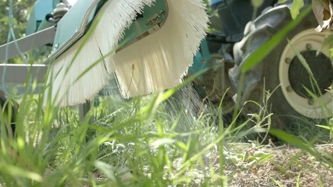Tractor rides and squirts of Apple trees on the plantation 스톡 동영상 123426650