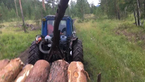 Tractor rides on a broken forest road Video stock 113789902