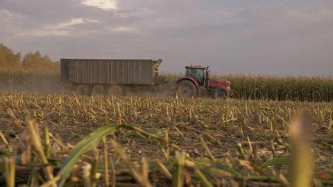 Tractor rides on a cornfield with a trailer Stock Footage 142025568