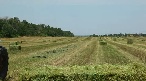 Tractor rides on the field 스톡 동영상 11057340