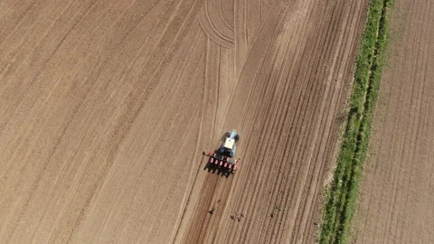 Tractor rides on the field Video stock 235342707