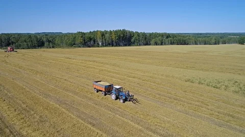 Tractor rides on a mowed field Video stock 101092361