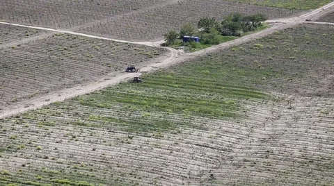 Tractor rides on a plowed field , view from above Stock Footage 51962022