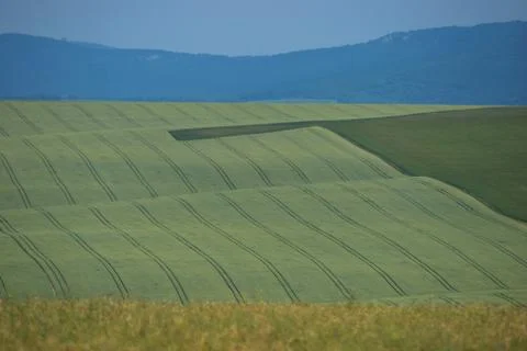 Tractor roads Stock Photos