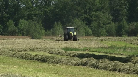 Tractor with rotary rake forms a windrow on a hay field + zoom out landscape Stock Footage 62031217