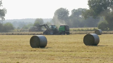 Tractor runs on the field in the fall and gathers hay in bales Stock Footage 84417125