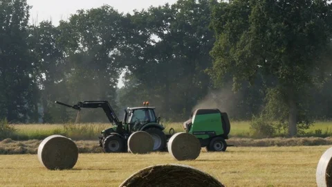 Tractor runs on the field in the fall and gathers hay in bales Stock Footage 84420912