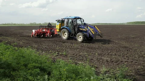 Tractor with a seeder drives in the field, sows, green wheat Stock Footage 161036396