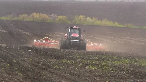 A tractor with a seeder rides through a black plowed field in the spring and Stock-Footage 239150574