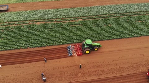 Tractor with seeder rides through green field Video stock 240750360