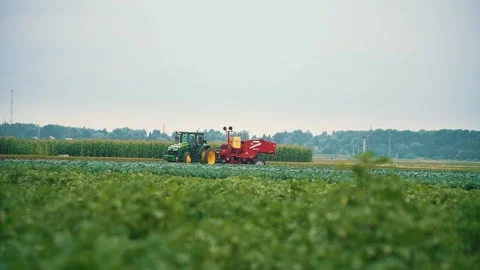 Tractor with seeder rides through green field Video stock 243735942
