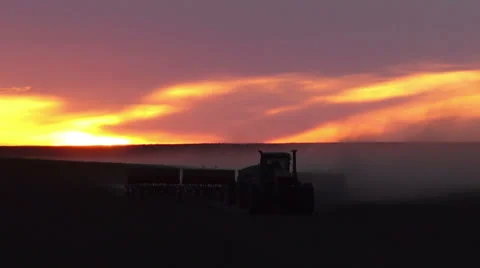 Tractor seeding spring wheat Video stock 22494831