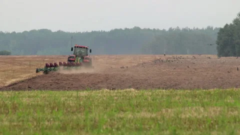 Tractor sheds stubble with a productive plow 스톡 동영상 144663653