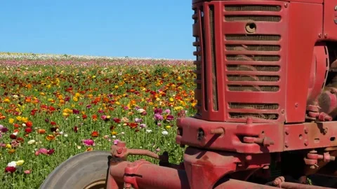 A tractor sitting in the grass Video stock 155586078