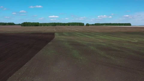 Tractor with sowing complex works in the field Stock Footage 130521597