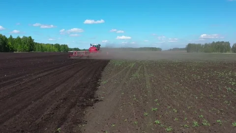 Tractor with sowing complex works in the field Stock Footage 130522488
